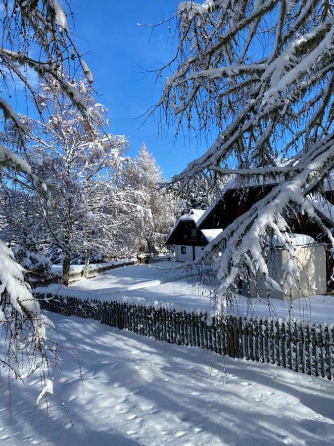Ferienhaus Waldtraum Санкт-Файт-ан-дер-Глан Экстерьер фото